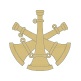5b - Assistant Chief.jpg